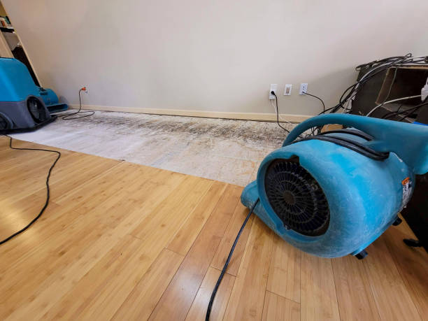 Professional Sewage Cleanup technician working in Mineola, TX